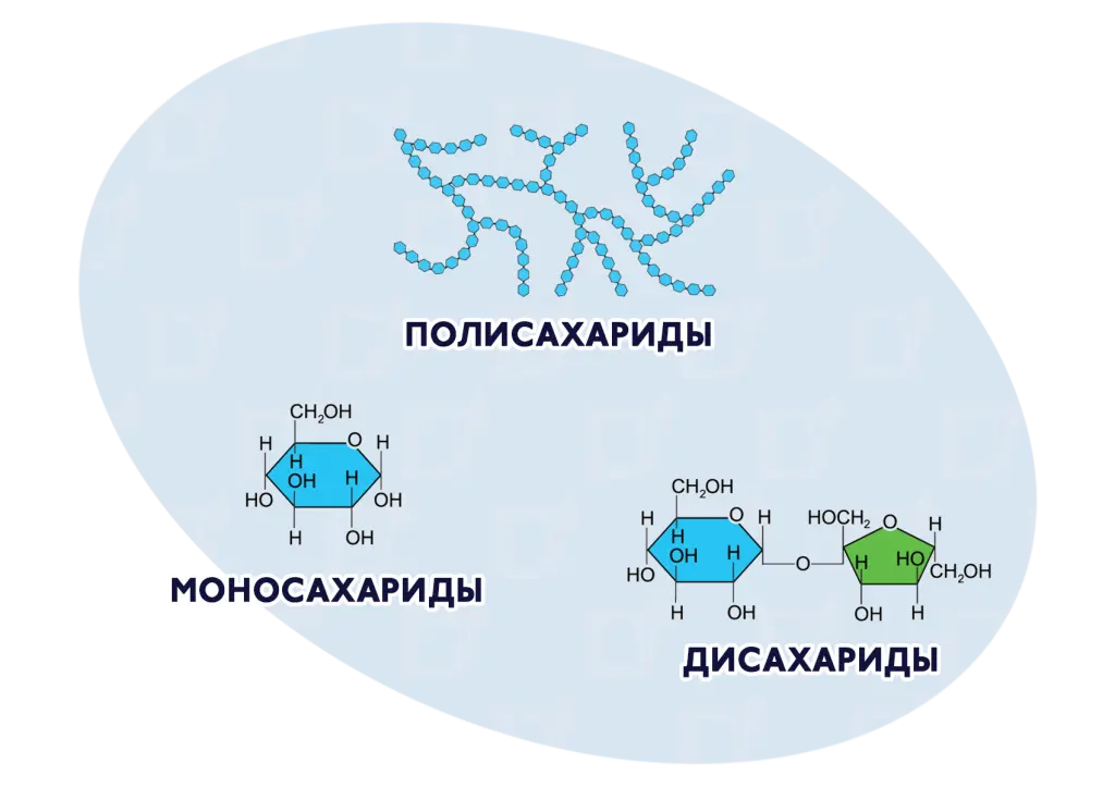 БЛОГ-2.png