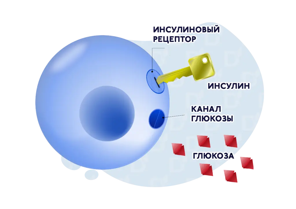 БЛОГ1.png БЛОГ1.png
